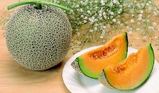 第23回全国小さくても輝く自治体フォーラムin訓子府町