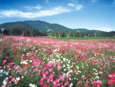 第45回 市町村議会議員研修会 in長野