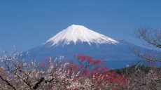 第46回 市町村議会議員研修会in静岡